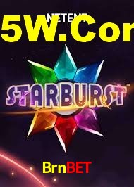 Brnbet App Interface